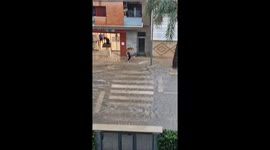 Nothing Can Stop This Determined Mom