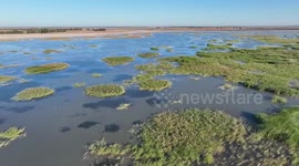 Saline-alkali soil turns into fertile land in Baicheng, China