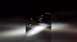 Police Officer Rescues Skunk That Had Its Head Stuck In A Plastic Cup in Waterville, USA