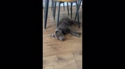 temp