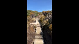 Amazing walk on wooden steps to fabulous view on Mount Taranaki in Egmont National Park in New Zealand