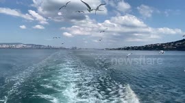 Seagulls chase a ferry sailing in the Sea of Marmara near the Prince's Islands in Turkey