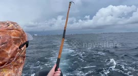 Kid’s biggest catch ever gets “taxed” by sharks as he reels it in fishing in Florida