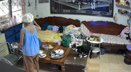 Cat brings snake as a 'gift' and leaves it on grandmother's bed