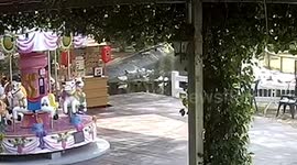 Python snatches duck from pond before residents save the bird from being eaten