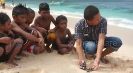 The moment a child picked up a baby turtle while the host was broadcasting.