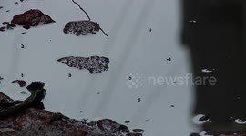 Bangladesh is experiencing its worst dengue epidemic with more than 1,000 deaths this year