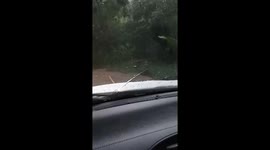 Trees plunge onto car as landslide covers mountain road in Thailand
