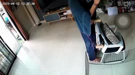 Frantic worker battles to push snake out of family’s house with stick