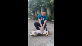 Don't kiss me! Pet dog pushes away man's lips as he demonstrates mouth-to-mouth