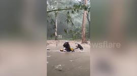 Brave motorbike riders battle through surging flood on Thai mountain