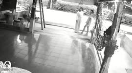 Hotel guest hits the ground when hammock snaps