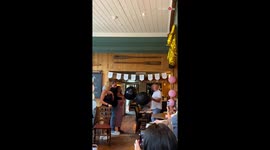 Full-of-hope dog leads heartwarming gender reveal with full excitement despite his failing health