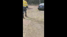 Car with an Apple Filling