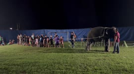 Captive elephant has tug-of-war with children in Thailand