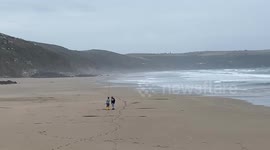 Scientists who satellite-tagged a tuna followed it up the M5 - after it was picked up by a tourist