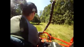 Chocolate Lab runs with GoKart