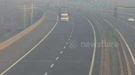 Driver stops lorry on motorway to pick pig up