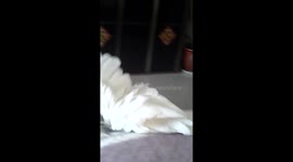 Parrot and dog follow their owner's command to sing songs