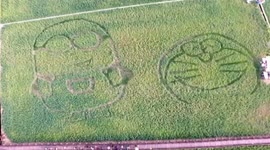 Villager carves giant cartoon characters in flowers fields