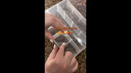 The SCRUMPTIOUS Autumn snackle box will make your tastebuds 'fall' in love with it *ASMR*