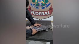 Police find cocaine stuffed inside frozen fish in Brazil