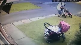 Crazy Reflexes You Won't Believe!