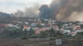 Thousands evacuated as wildfire rips through Spain's Tenerife