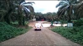 Bet in a river genre that is very heavy on the alternative road of Solok South-Dharmasraya