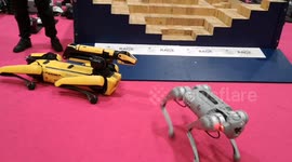 New Scientist Live kicks 9f with an amazing display by Boston Dynamics robots