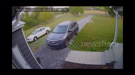 Aussie Side Swipes Owner Into Staircase