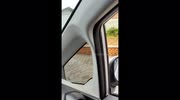temp