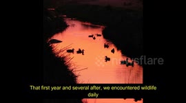 Death in our backyard