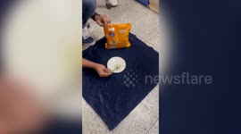 Gold concealed in detergent seized by police from airport in southern India