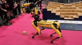 A naughty robot destroys what a Boston Dynamics robot had built at the New Scientist Live event
