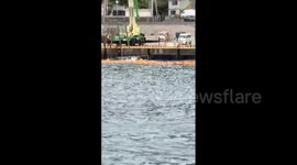 Japan: Several Boats Overturn As Tsunami Hits Pacific Coast 3