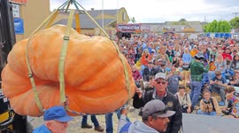World record squashed by HUGE pumpkin at championship weigh-off in US