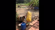 temp
