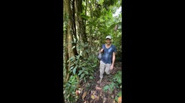 #1 Lucky French tourist found 2 rare corpse flowers in Indonesia rainforest