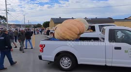 New world record set at Half Moon Bay's 50th annual pumpkin weigh-off in CA, USA