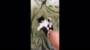 temp