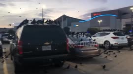 Definitely Not A Bad Omen