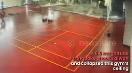 Viral Videos of the Week