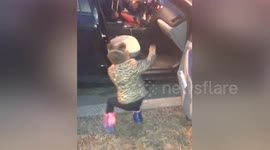 Why Dads Are the Best