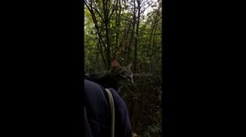 Taking The Cat For A Nature Walk