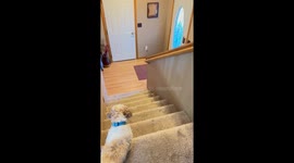 A Graceful Return From College