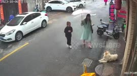 Shocking moment woman strokes pet dog before it BITES her face in China