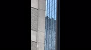 temp
