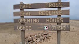 Exploring Namibia's Cape Cross Seal Reserve