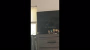 temp